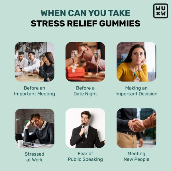 What's Up Wellness Stress Relief Gummies | For Men & Women with Chamomile, Passion Flower, L-theanine, Sage & Holy Basil, Reduces Stress, Anxiety and Improves Sleep - 30 Gummy Pack - Image 3